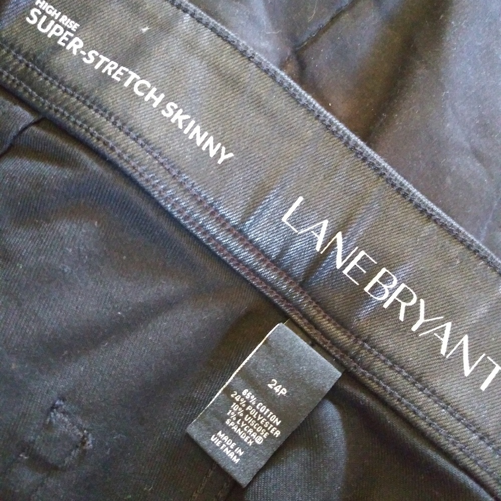 Pants from Lane Bryant